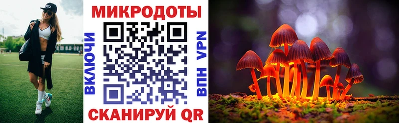 Псилоцибиновые грибы мухоморы  Озёры 